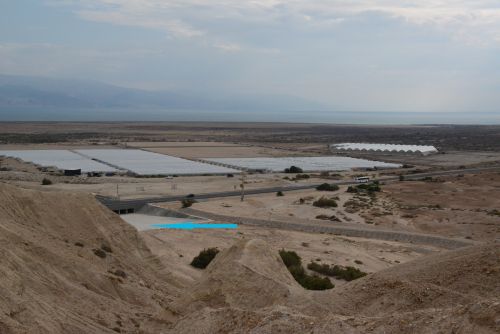 Plastenjaki za zgodnjo zelenjavo v puščavi ob Mrtvem morju
